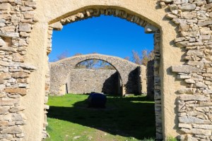 along the camino de las raices