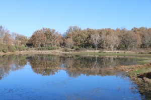 along the camino de las raices