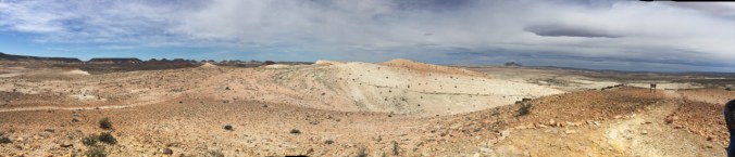 Bosque Petrificado panorama