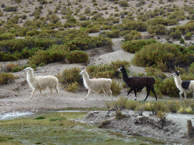 2016-03-18__18-40-11__P1060866