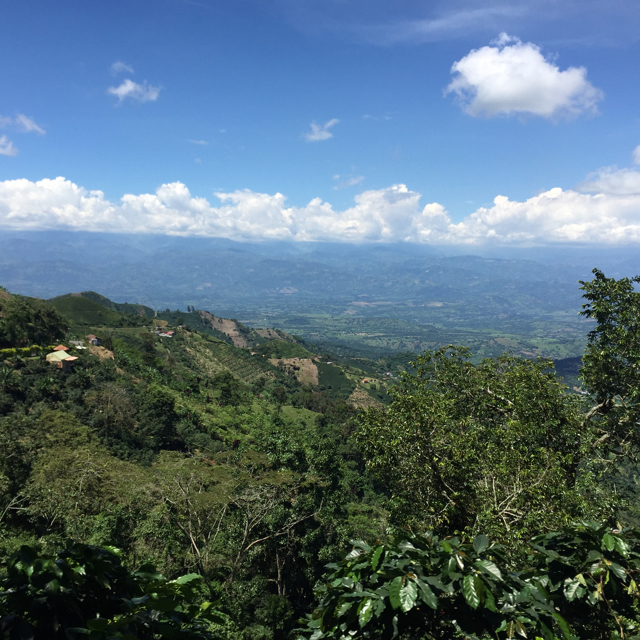 2016-06-12__13-08-08__IMG_5870